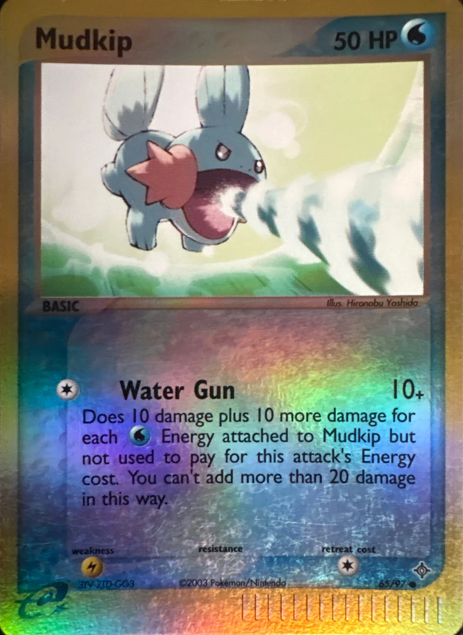 2003 Mudkip — Dragon #65